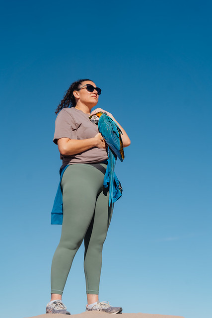 Guacamayo azul y amarillo posado al hombro — cielo azul despejado