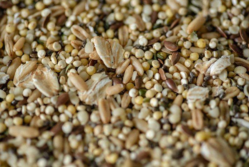 Macro premium de millet blanc, lin et graines variées pour régime de perroquets psittacidés — détail naturel