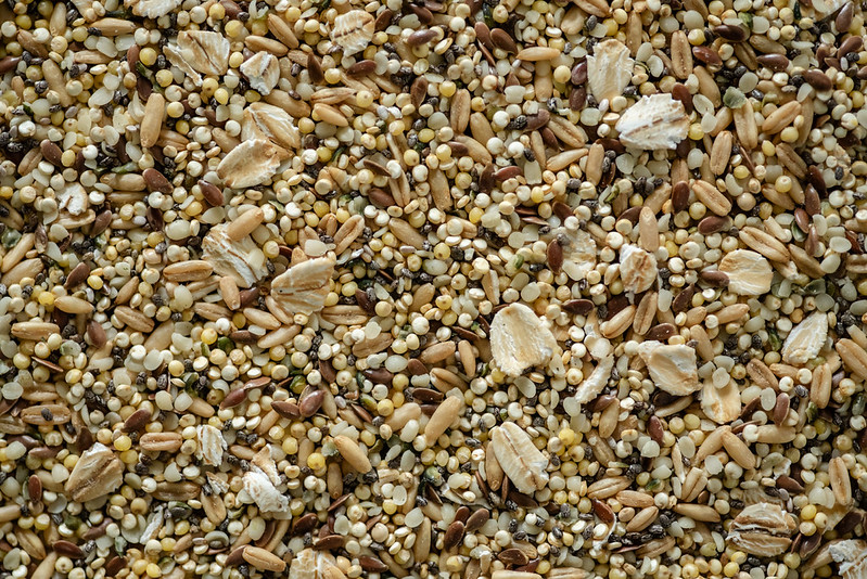 Composition macro de millet, avoine et graines variées pour perroquets — vue de dessus pleine de couleurs naturelles