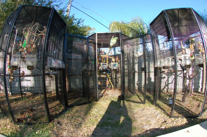 Exterior of the Paraíso de Aves aviary facility in Llíria, Valencia, Spain
